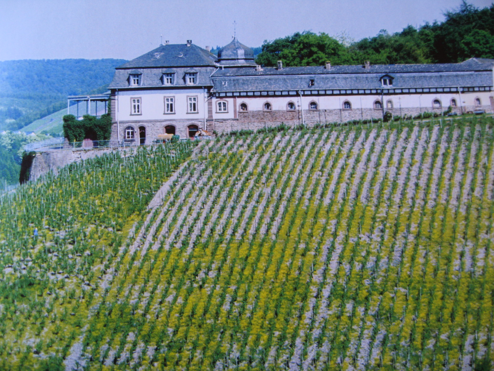 Serrig Schloss Saarsteiner